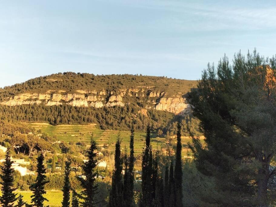 Au Calme, 200M Du Centre T2 Avec Balcon Et Parking Apartman Cassis Kültér fotó